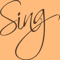 Sing2.5_Orange